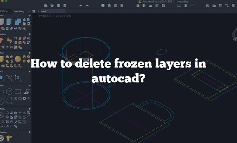 How to delete frozen layers in autocad?