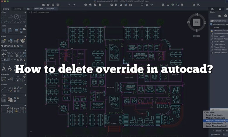 How to delete override in autocad?