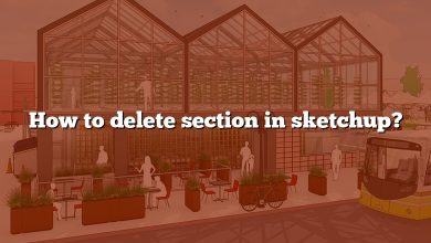 How to delete section in sketchup?