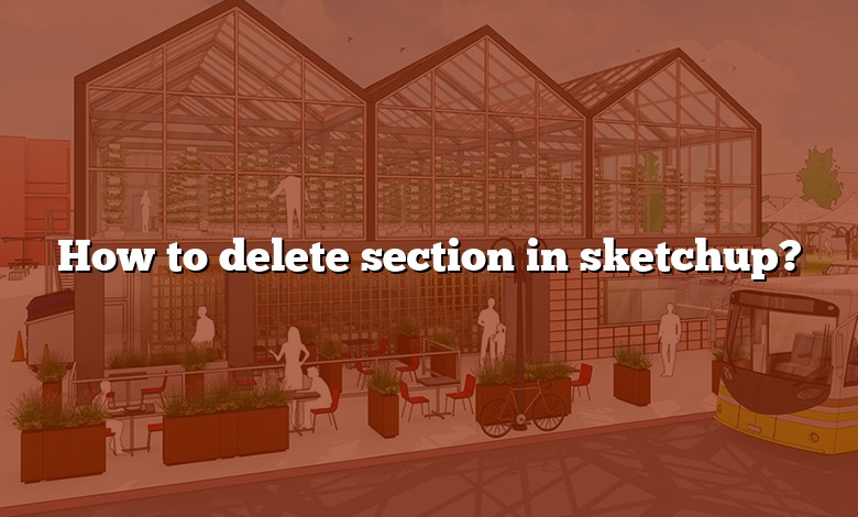 How to delete section in sketchup?