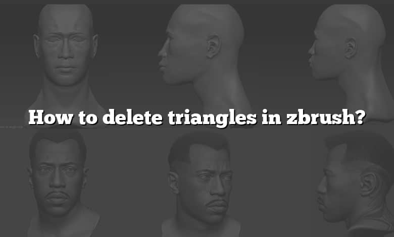 How to delete triangles in zbrush?