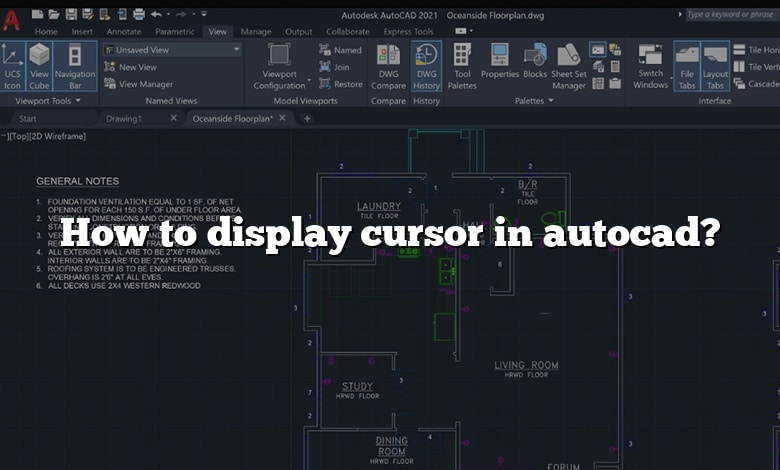 How to display cursor in autocad?