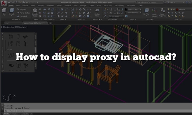How to display proxy in autocad?