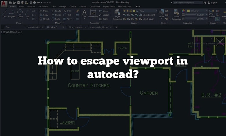 How to escape viewport in autocad?