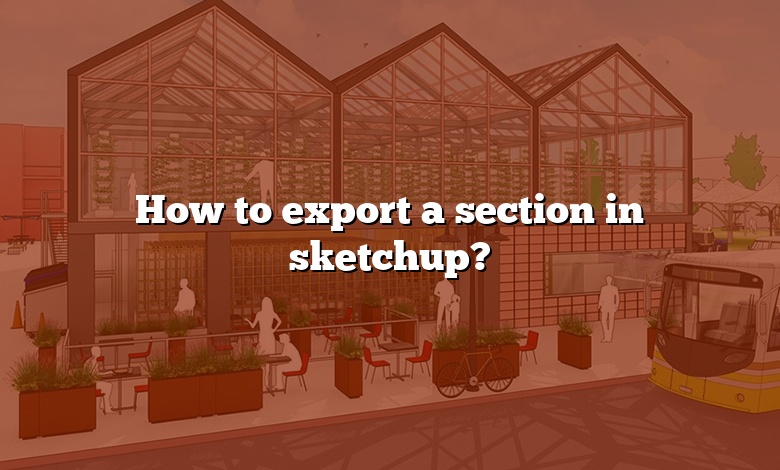 How to export a section in sketchup?