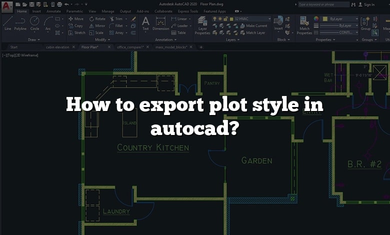 How to export plot style in autocad?