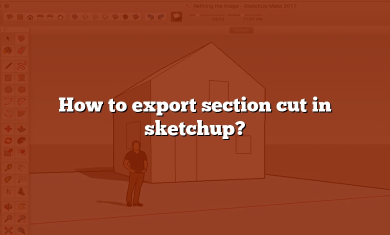 How to export section cut in sketchup?