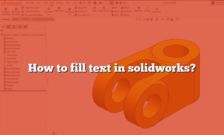 How to fill text in solidworks?