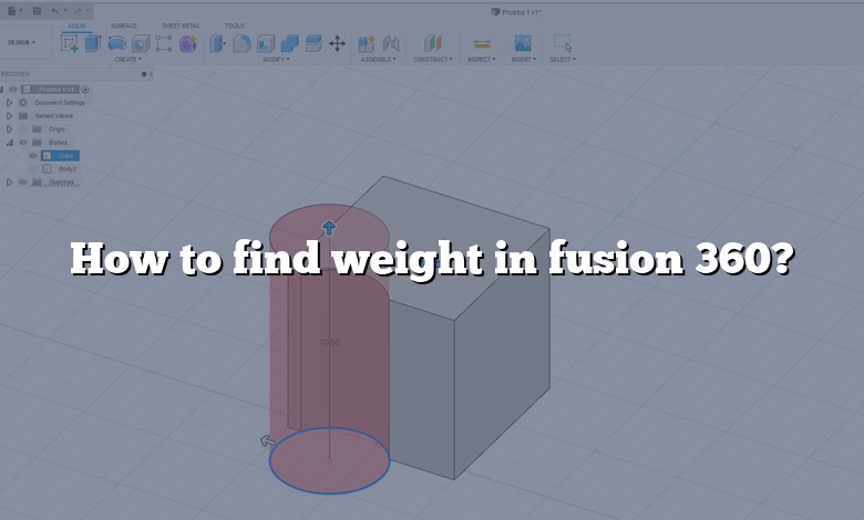 How to find weight in fusion 360?