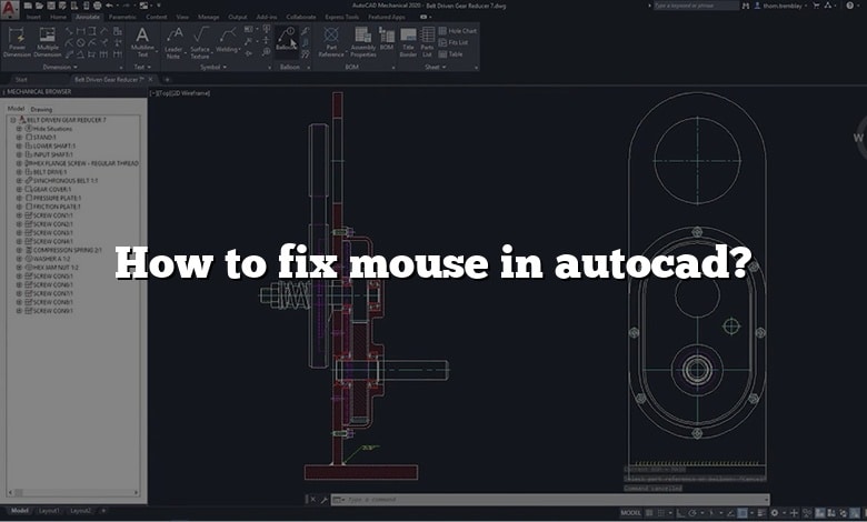 How to fix mouse in autocad?