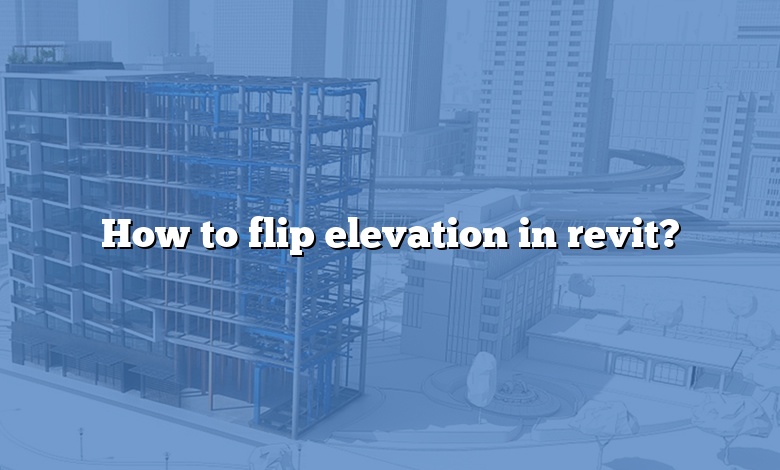 How to flip elevation in revit?