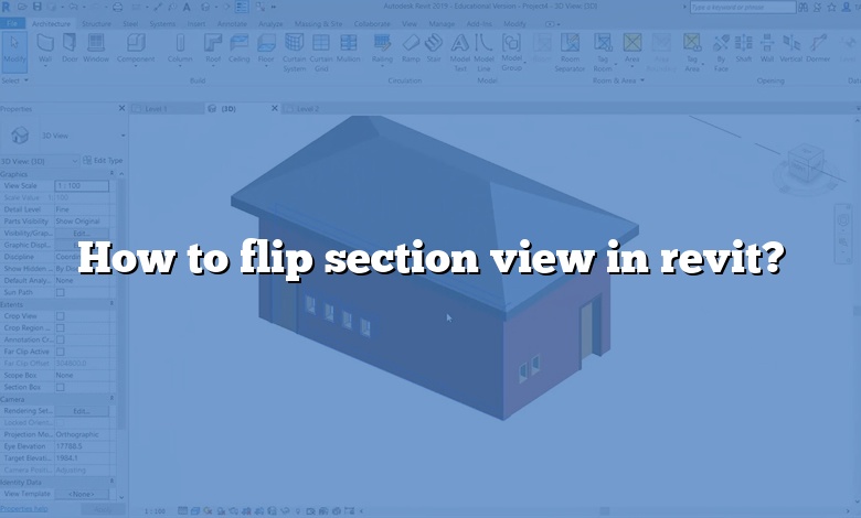 How to flip section view in revit?