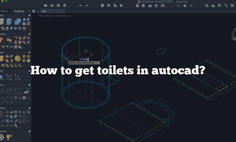 How to get toilets in autocad?