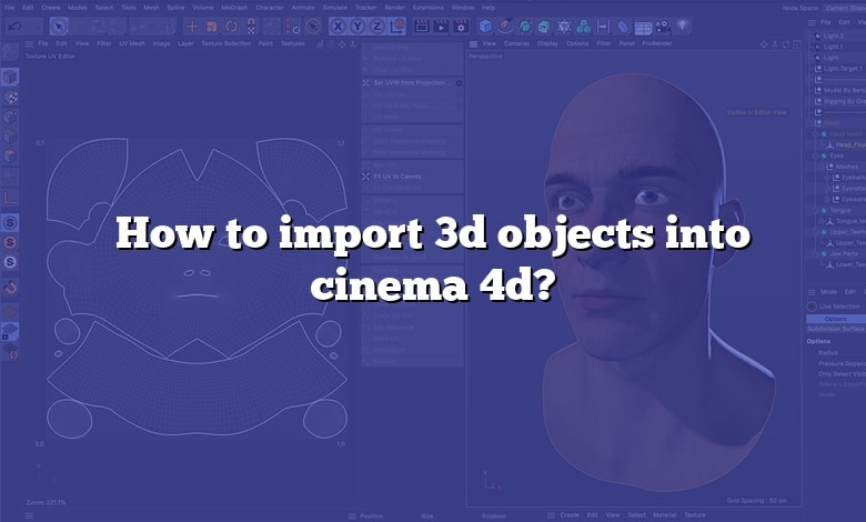 How to import 3d objects into cinema 4d?