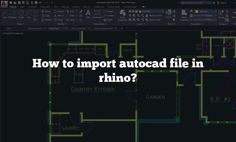 How to import autocad file in rhino?