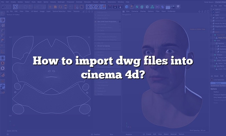 How to import dwg files into cinema 4d?