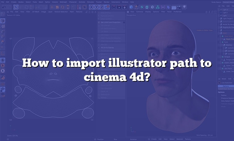How to import illustrator path to cinema 4d?