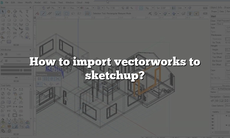 How to import vectorworks to sketchup?