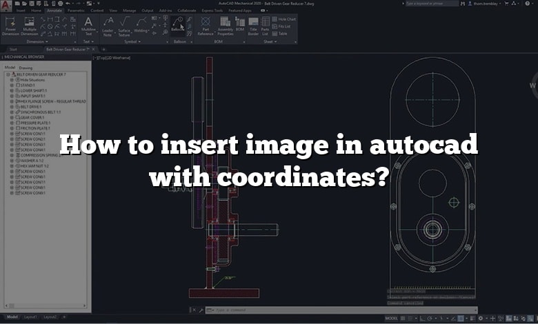How to insert image in autocad with coordinates?
