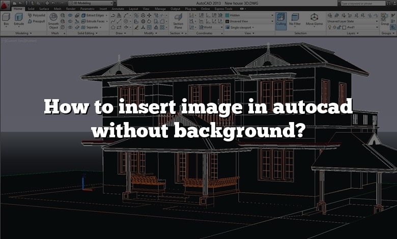 How to insert image in autocad without background?