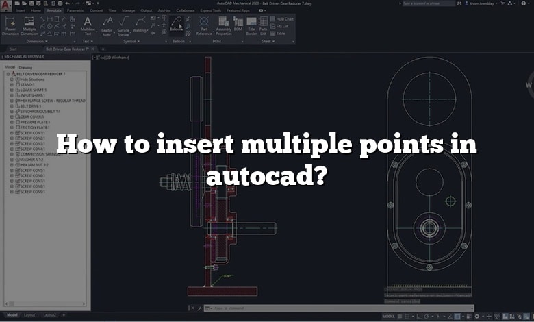 How to insert multiple points in autocad?