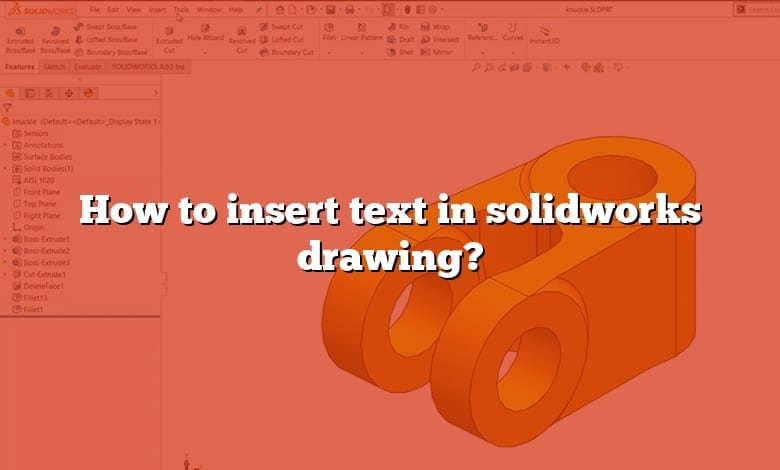 How to insert text in solidworks drawing?