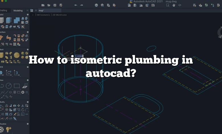 How to isometric plumbing in autocad?