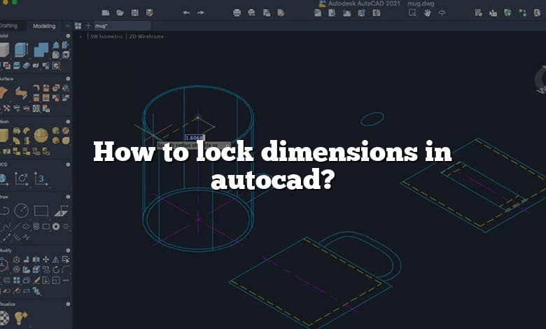 How to lock dimensions in autocad?