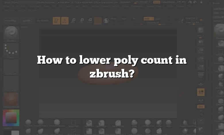 How to lower poly count in zbrush?