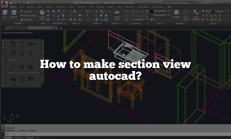 How to make section view autocad?