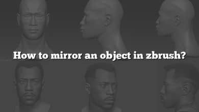 How to mirror an object in zbrush?