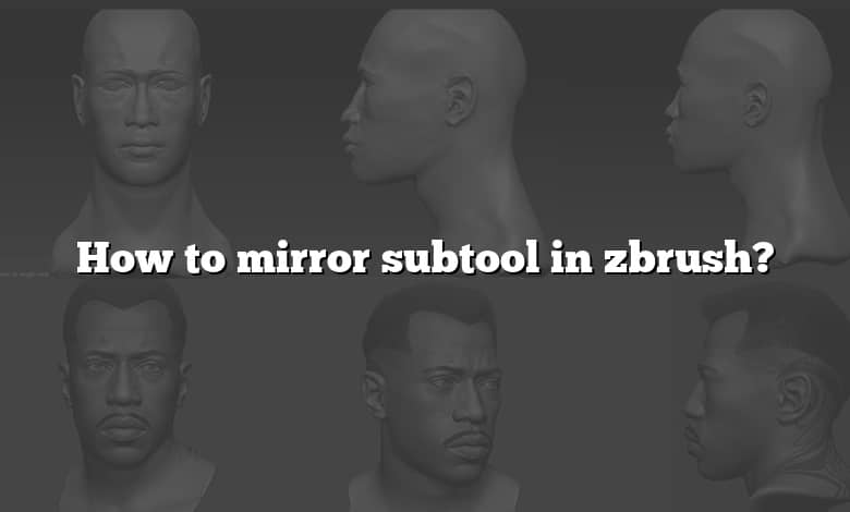 How to mirror subtool in zbrush?