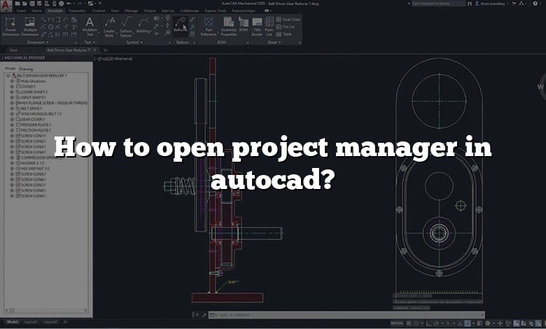 How to open project manager in autocad?