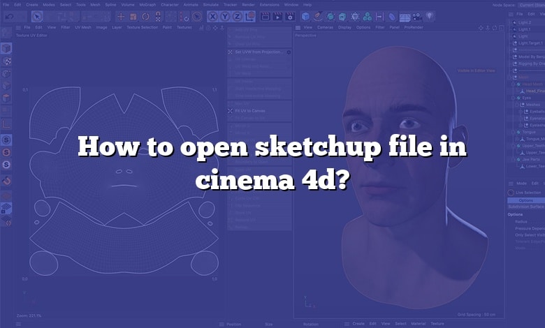 How to open sketchup file in cinema 4d?