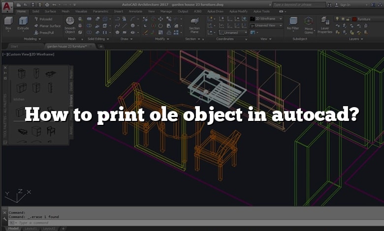 How to print ole object in autocad?