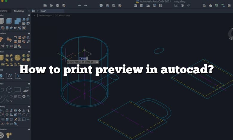 How to print preview in autocad?