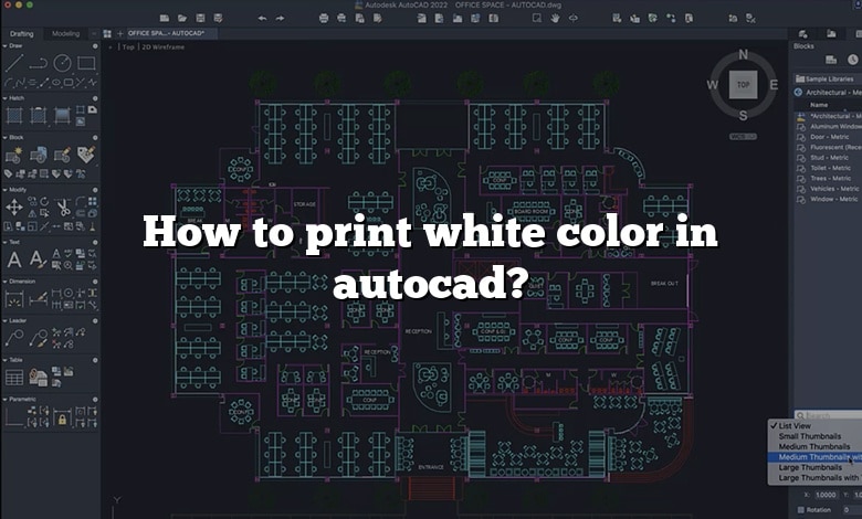 How to print white color in autocad?