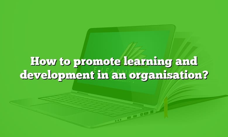 How to promote learning and development in an organisation?