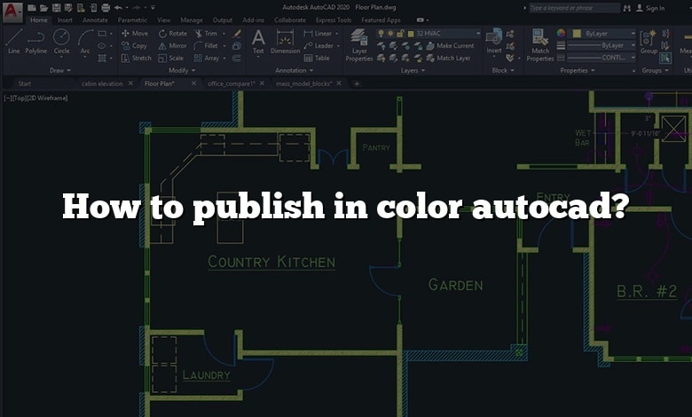How to publish in color autocad?