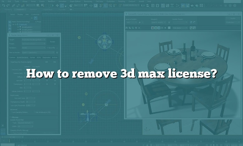 How to remove 3d max license?