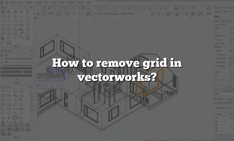 How to remove grid in vectorworks?