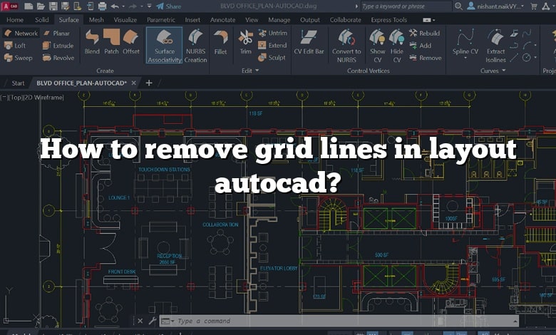 How to remove grid lines in layout autocad?