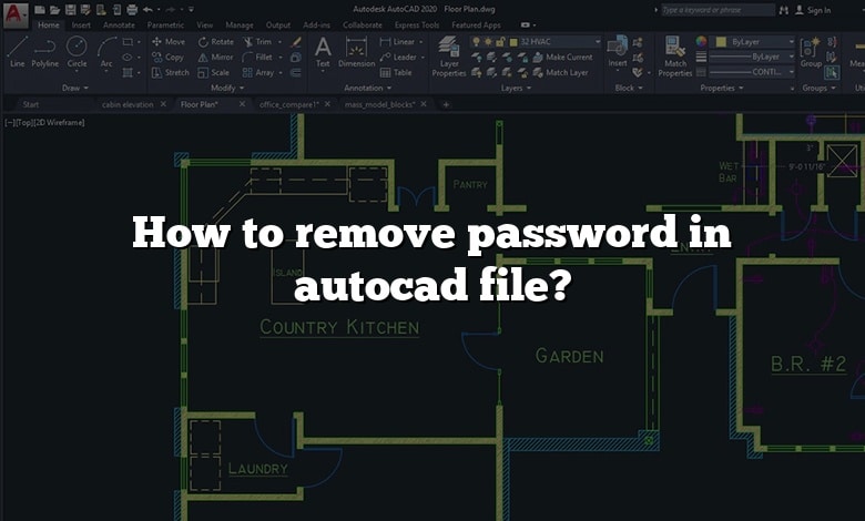 How to remove password in autocad file?