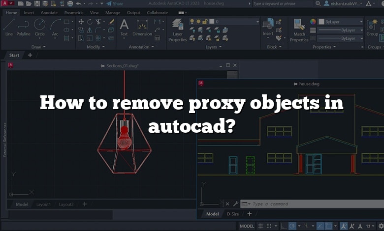 How to remove proxy objects in autocad?