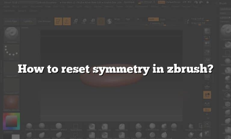 how to reset project zbrush