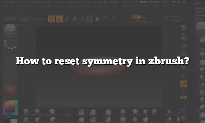 How to reset symmetry in zbrush?