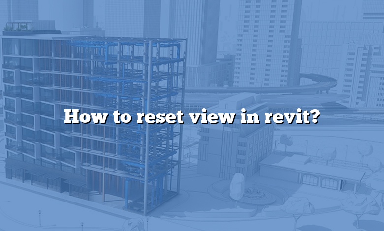 How to reset view in revit?