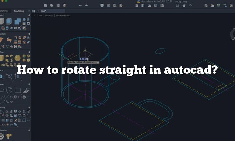 How to rotate straight in autocad?