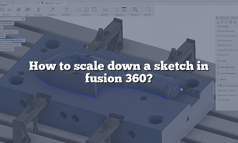 How to scale down a sketch in fusion 360?
