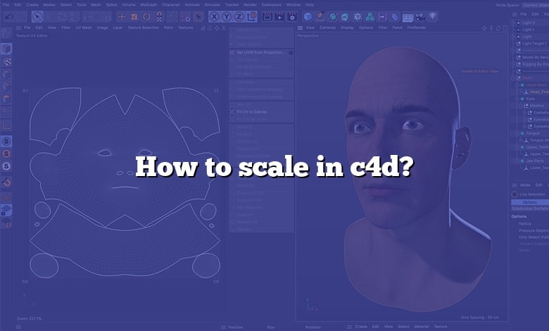 How to scale in c4d?